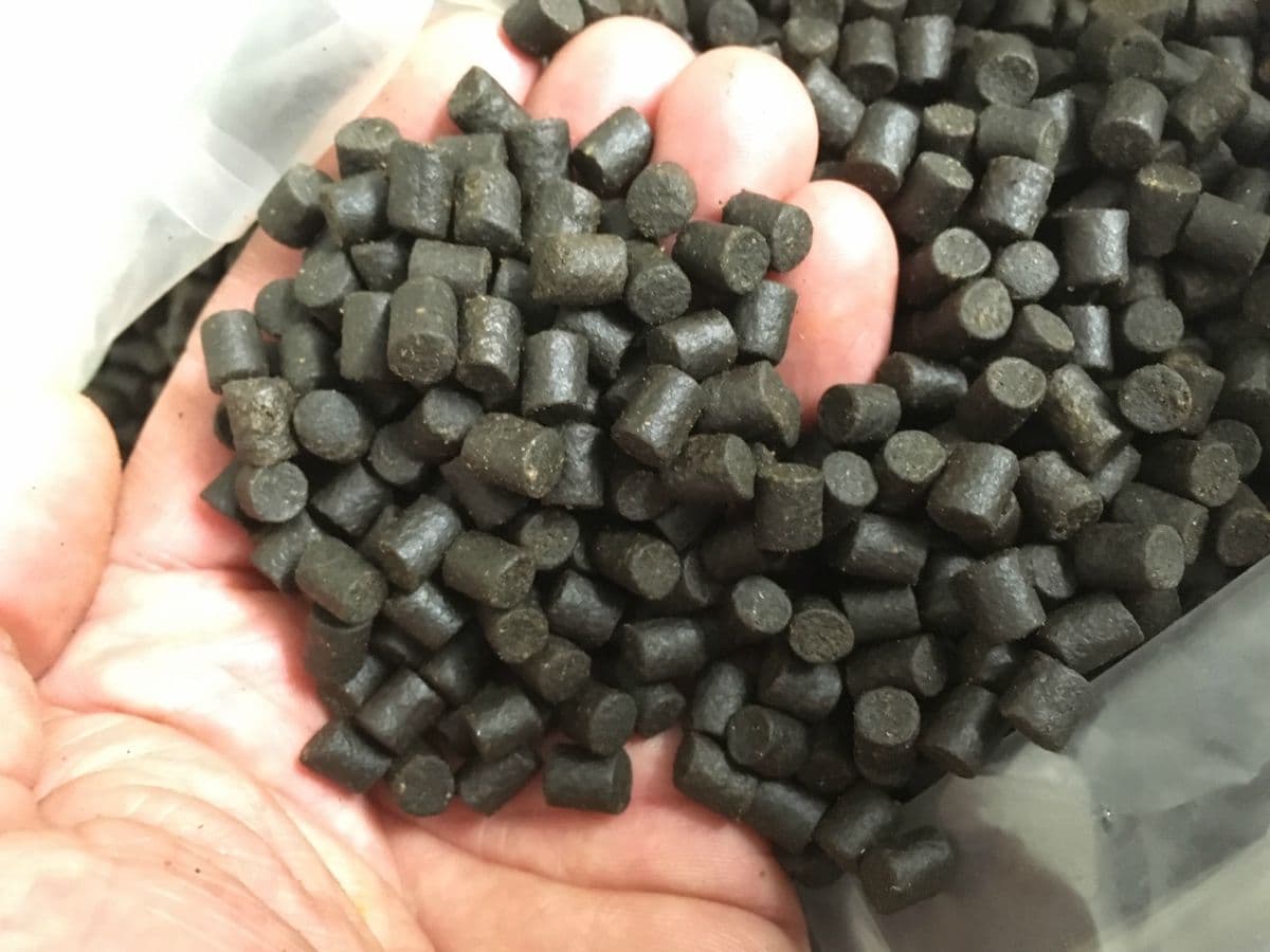 Halibut Pellets