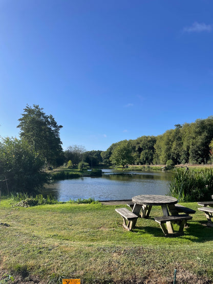 Coarse Fishing Experience day