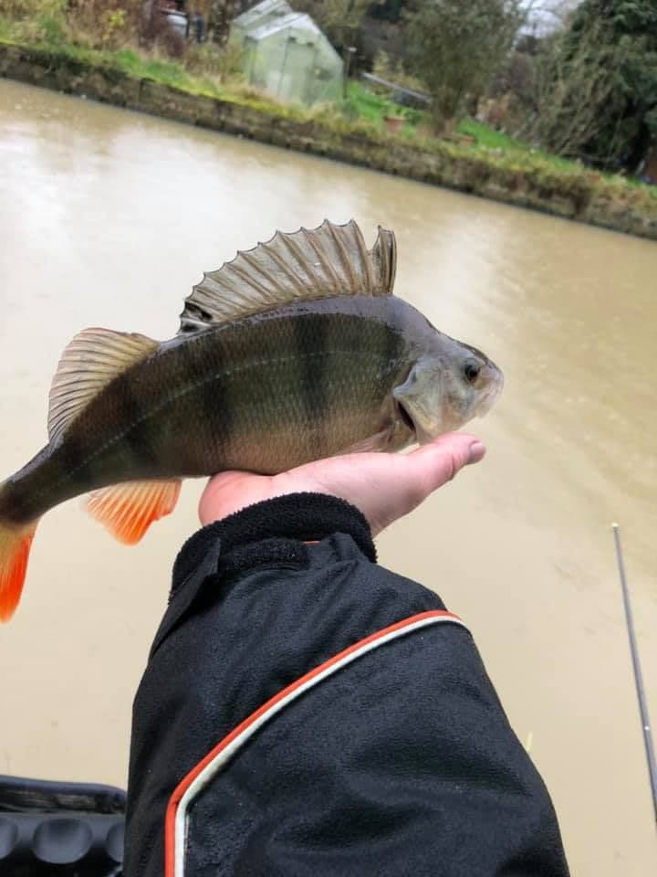 Canal Pole Fishing Experience Day